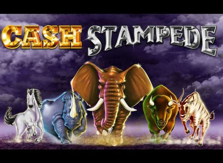 Cash Stampede Play in Demo Mode – Free