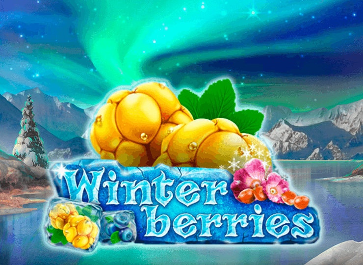 Winter berries Play in Demo Mode – Free