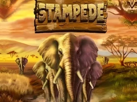 Stampede