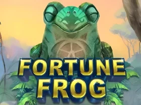 Fortune Frog